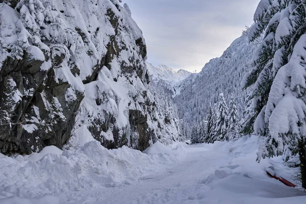 Górskie Drogi Pokryte Śniegiem Footprints — Zdjęcie stockowe