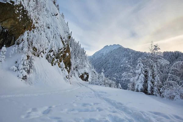 Camino Montaña Cubierto Nieve Con Huellas — Foto de Stock