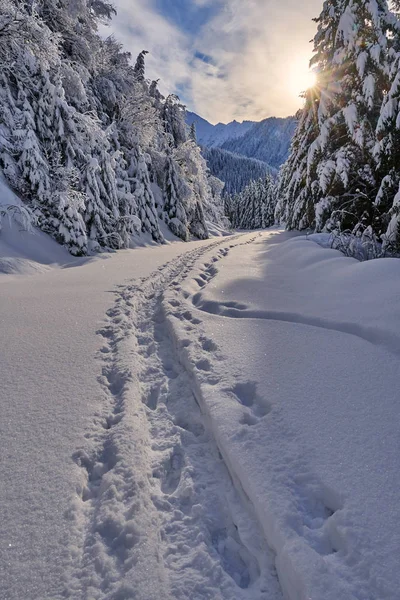 Route Montagne Couverte Neige Avec Des Empreintes Pas — Photo