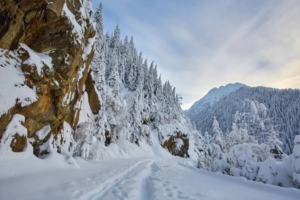 Route Montagne Couverte Neige Avec Des Empreintes Pas — Photo