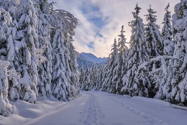 Route Montagne Couverte Neige Avec Des Empreintes Pas — Photo