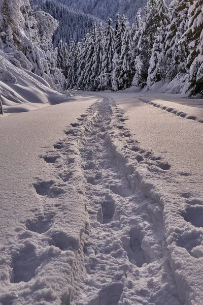 Camino Montaña Cubierto Nieve Con Huellas — Foto de Stock