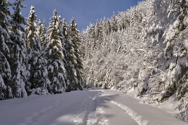 Route Montagne Couverte Neige Avec Des Empreintes Pas — Photo