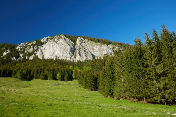 Landschap Met Rocky Mountains Wandelweg — Stockfoto