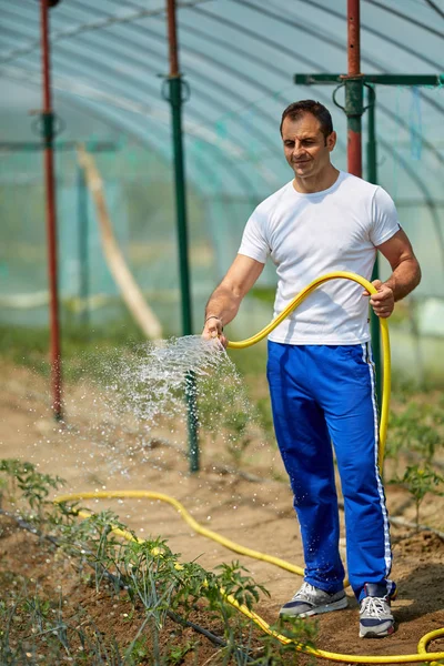 在炎热的房子里给植物浇水的农民 — 图库照片