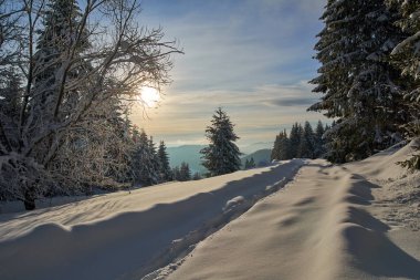 Dağ yolu ile kış manzara