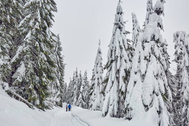 Kaç yürüyüşçü karlı dağlarda kameralar ile