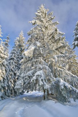Dağ yolu ile kış manzara