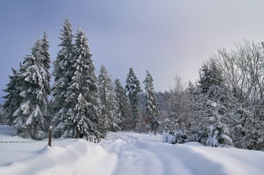 Dağ yolu ile kış manzara