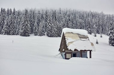 Eski ahşap ahır kırsal kış