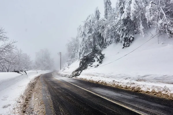 Krajina Horská Silnice Zimním Období — Stock fotografie
