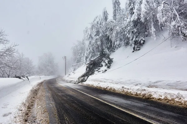 Landscape Mountain Road Winter Time — Stock Photo, Image