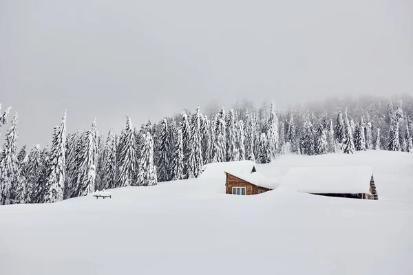 Cabaña Bosque Una Casa Cubierta Nieve Por Bosque Pinos — Foto de Stock