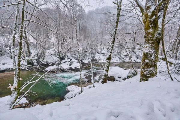 冬天有蔚蓝的海水的河流 — 图库照片