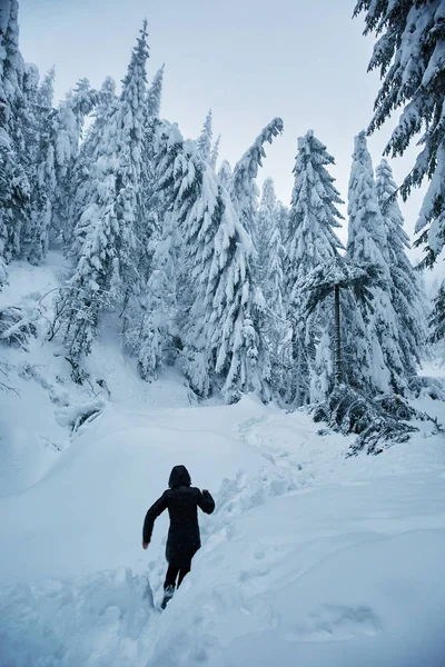 Kobieta Turystyczne Trasie Bardzo Gęsty Śnieg Górach — Zdjęcie stockowe