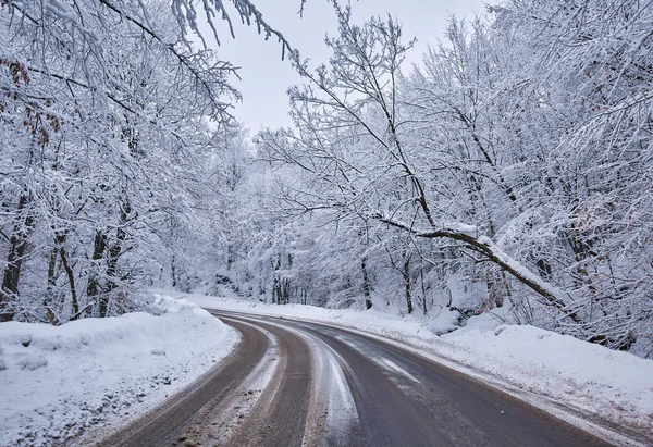 冬時間の山道のある風景します — ストック写真