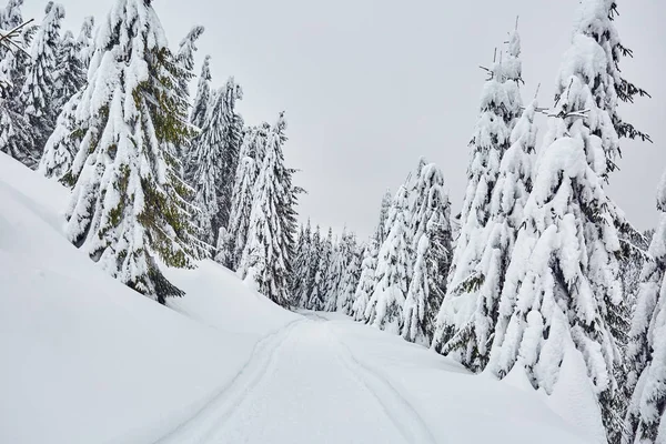 Landschap Met Bergweg Wintertijd — Stockfoto