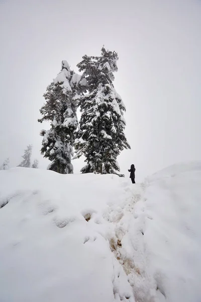 Женщина Туристка Камерой Фотографирующая Зиму Горах — стоковое фото