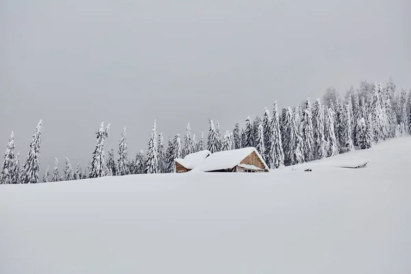 Cabaña Bosque Una Casa Cubierta Nieve Por Bosque Pinos — Foto de Stock