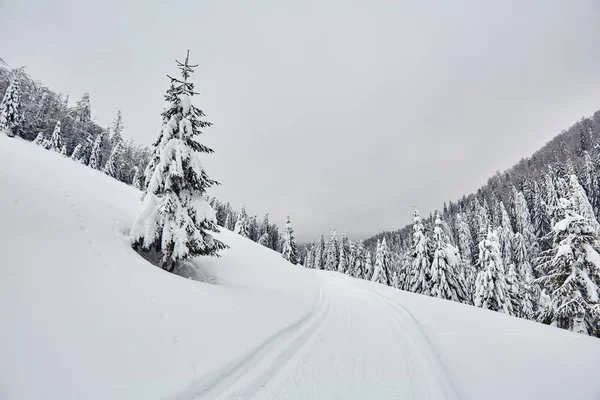 Τοπίο Ορεινό Δρόμο Στην Χειμερινή Ώρα — Φωτογραφία Αρχείου