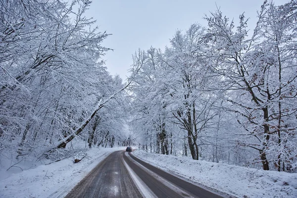 Landskap Med Bergsväg Vintertid — Stockfoto