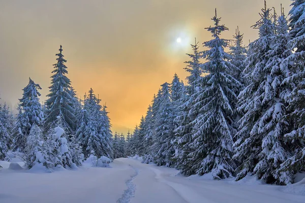 Dağ Yolu Ile Kış Manzara — Stok fotoğraf