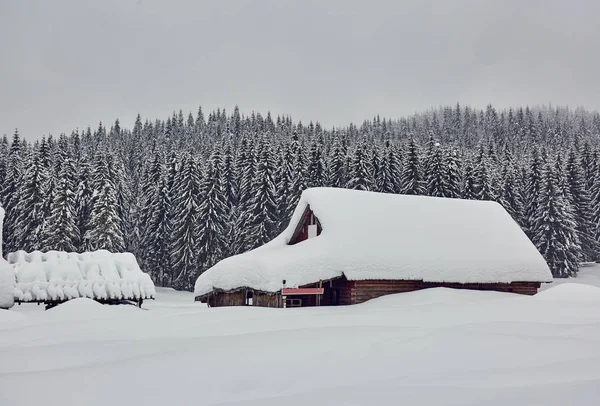Cabin in the woods, a house covered in snow by the pine forest