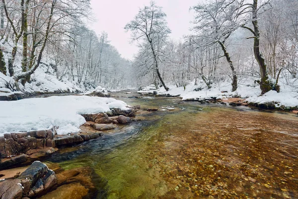 Řeka Azurovými Vodami Zimě — Stock fotografie