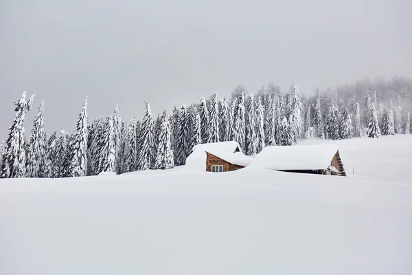 Cabaña Bosque Una Casa Cubierta Nieve Por Bosque Pinos — Foto de Stock