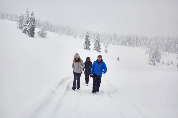 Amis Randonnée Montagne Pendant Les Vacances Hiver — Photo