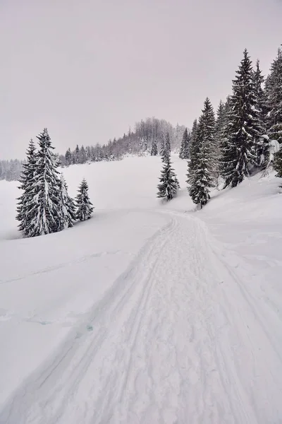 Paisaje Con Carretera Montaña Invierno — Foto de Stock