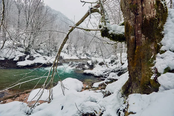 Fluss Mit Azurblauem Wasser Winter — Stockfoto