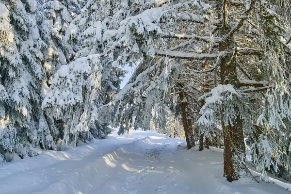 Krajobraz Górskiej Drogi Zimie — Zdjęcie stockowe