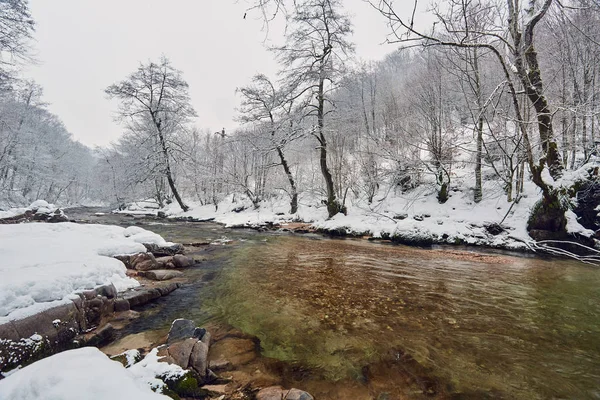 Río Con Aguas Azules Invierno —  Fotos de Stock