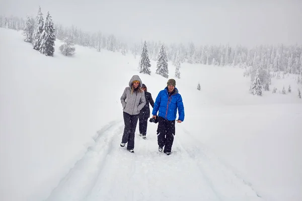 Amigos Uma Caminhada Montanha Nas Férias Inverno Fotos De Bancos De Imagens