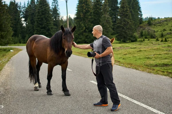 Homem Belos Cavalos Uma Estrada Nas Montanhas — Fotografia de Stock