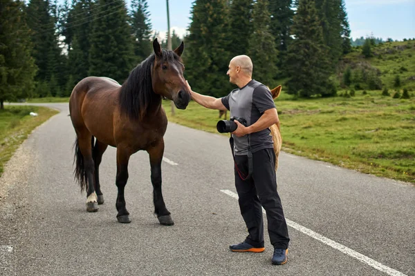 Homem Belos Cavalos Uma Estrada Nas Montanhas — Fotografia de Stock