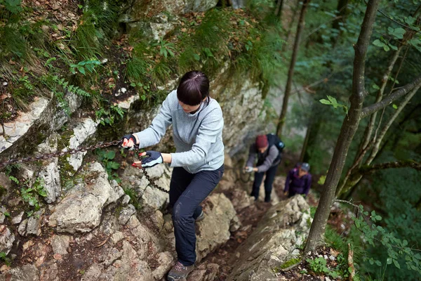 Grupo Personas Haciendo Senderismo Sendero Bosque Montaña —  Fotos de Stock