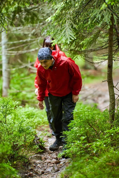穿着雨衣在树林里徒步的人 — 图库照片