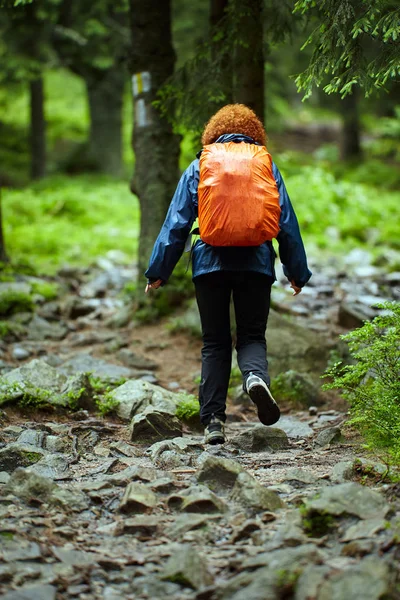 Mujer Excursionista Impermeable Sendero Bosque Pinos —  Fotos de Stock