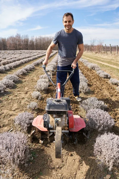 Αγρότης Που Εργάζεται Φυτεία Λεβάντας Του Κατά Διάρκεια Της Ημέρας — Φωτογραφία Αρχείου