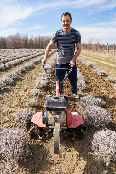 Agricultor Trabalhando Sua Plantação Lavanda Durante Dia — Fotografia de Stock