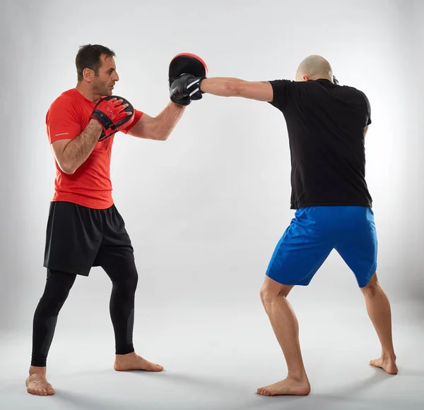 Young Kickboxing Fighter Hitting Mitts His Coach Grey Background — Stock Photo, Image