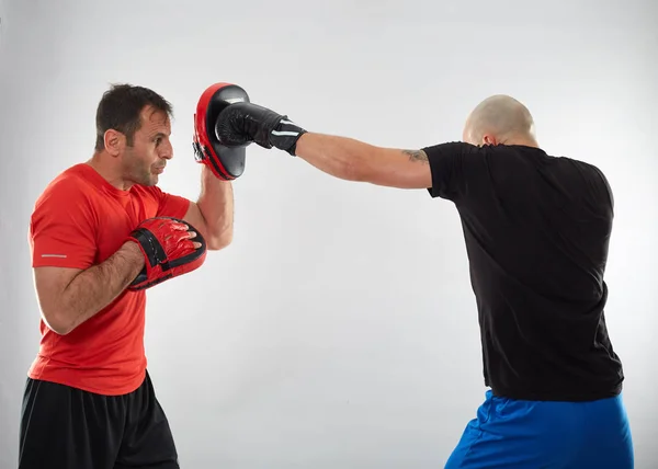 Young Kickboxing Fighter Hitting Mitts His Coach Grey Background — Stock Photo, Image