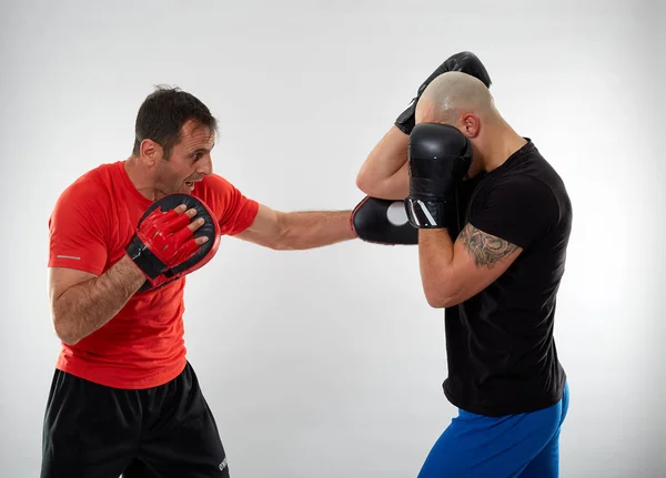 Joven Luchador Kickboxing Golpeando Guantes Con Entrenador Fondo Gris —  Fotos de Stock