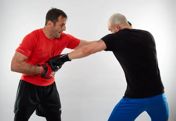 Joven Luchador Kickboxing Golpeando Guantes Con Entrenador Fondo Gris —  Fotos de Stock