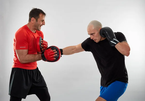 Joven Luchador Kickboxing Golpeando Guantes Con Entrenador Fondo Gris — Foto de Stock