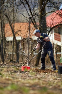 Gündüz onun bahçesinde erkek çiftçi Ekim ceviz ağacı 