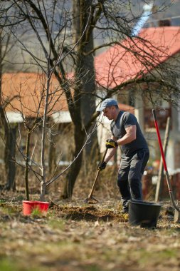 Gündüz onun bahçesinde erkek çiftçi Ekim ceviz ağacı 