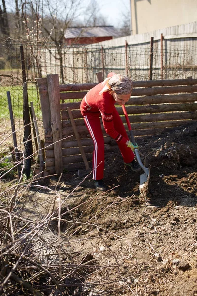 Vrouw Landbouwer Graven Gat Voor Het Planten Van Boom Tuin — Stockfoto